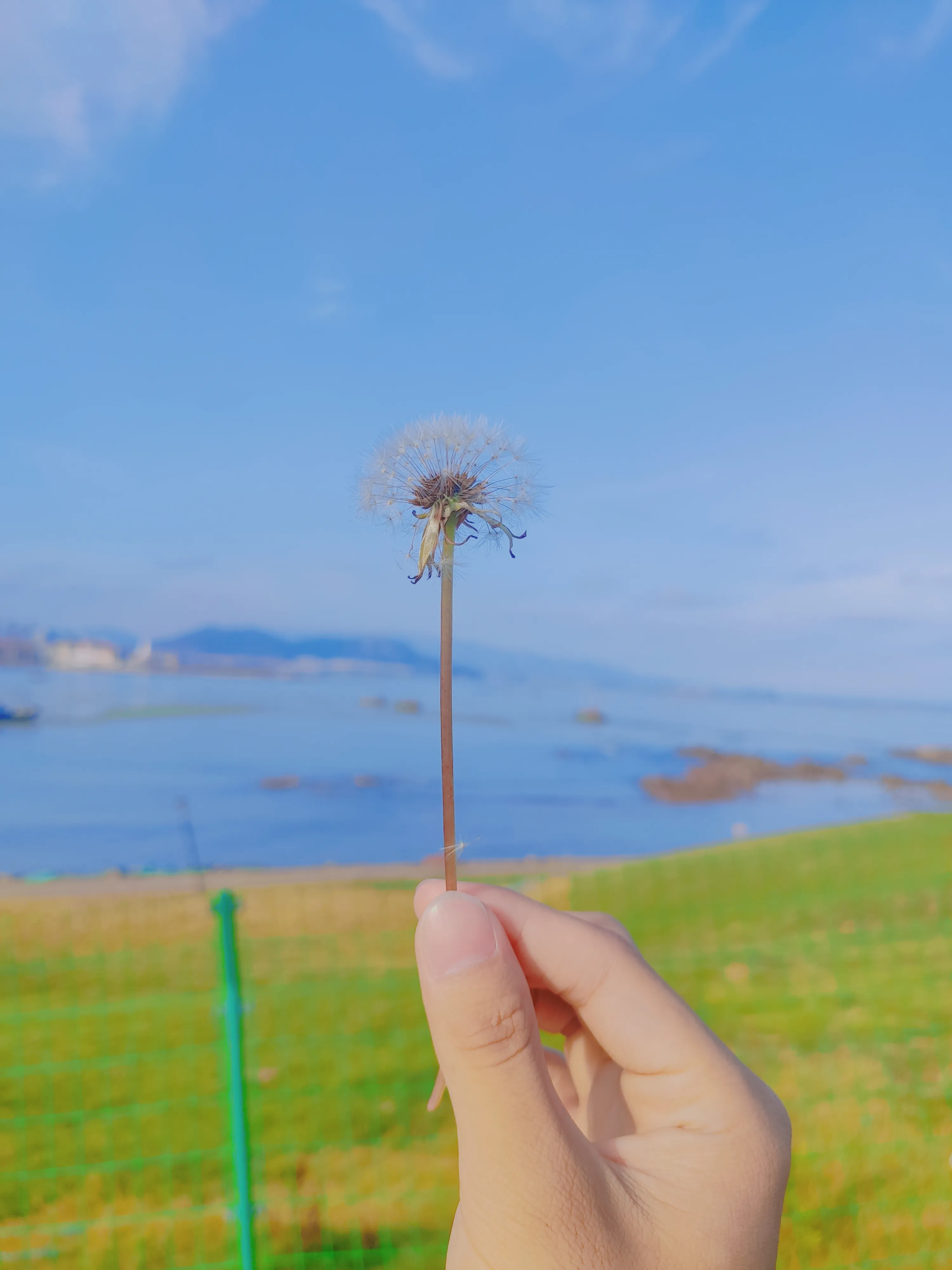 帖子配图