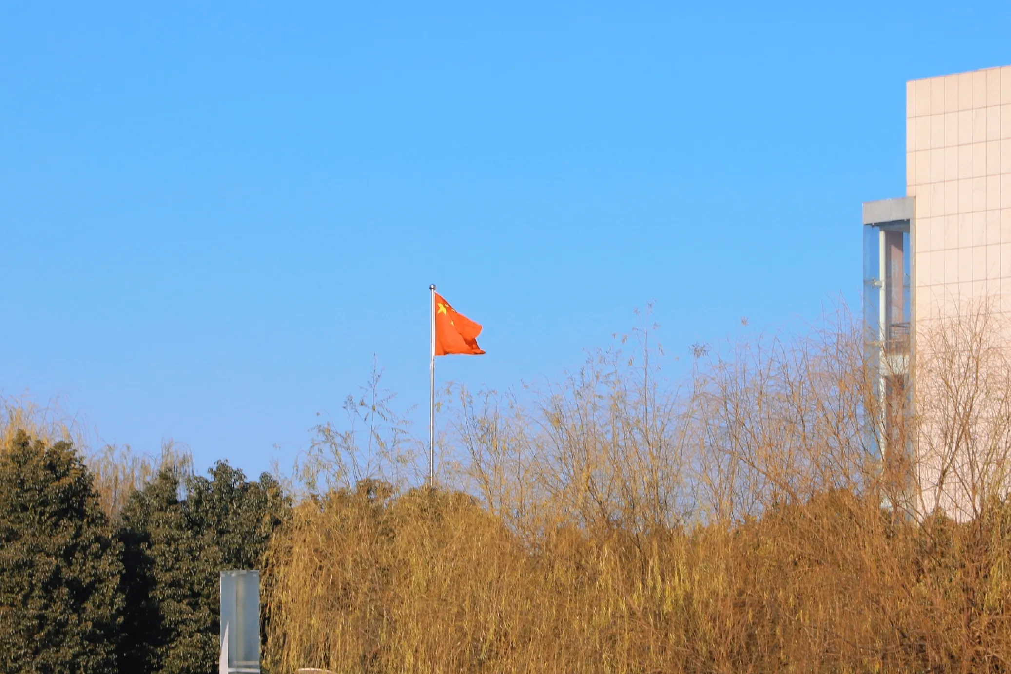 帖子配图